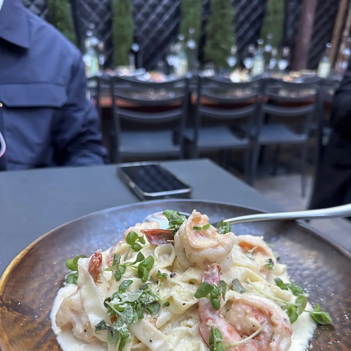 Shrimp Alfredo
