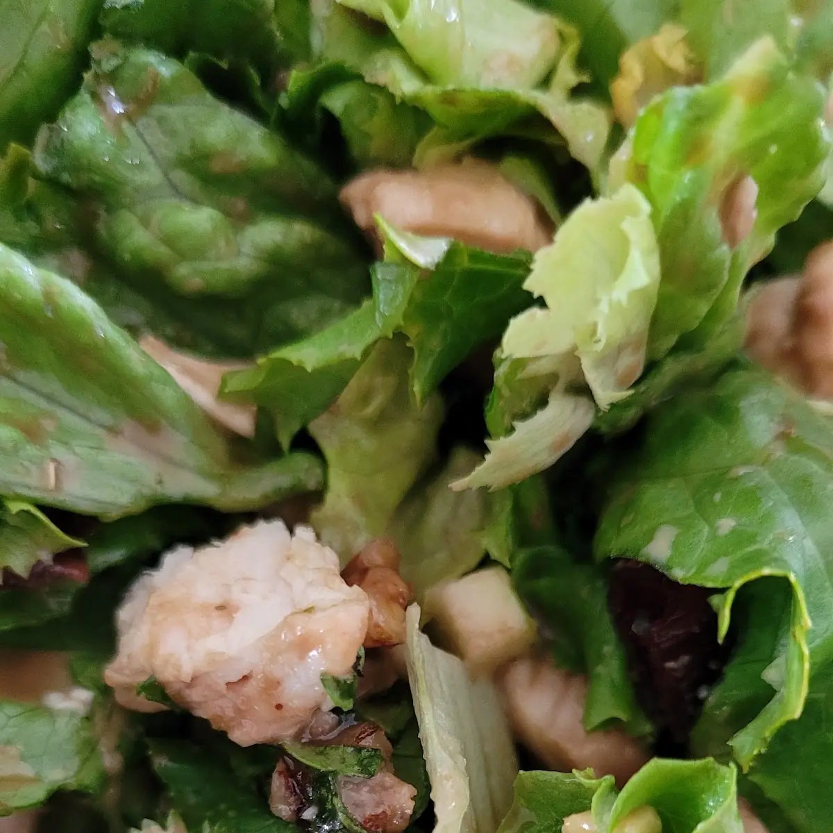 Walnut Chicken Salad