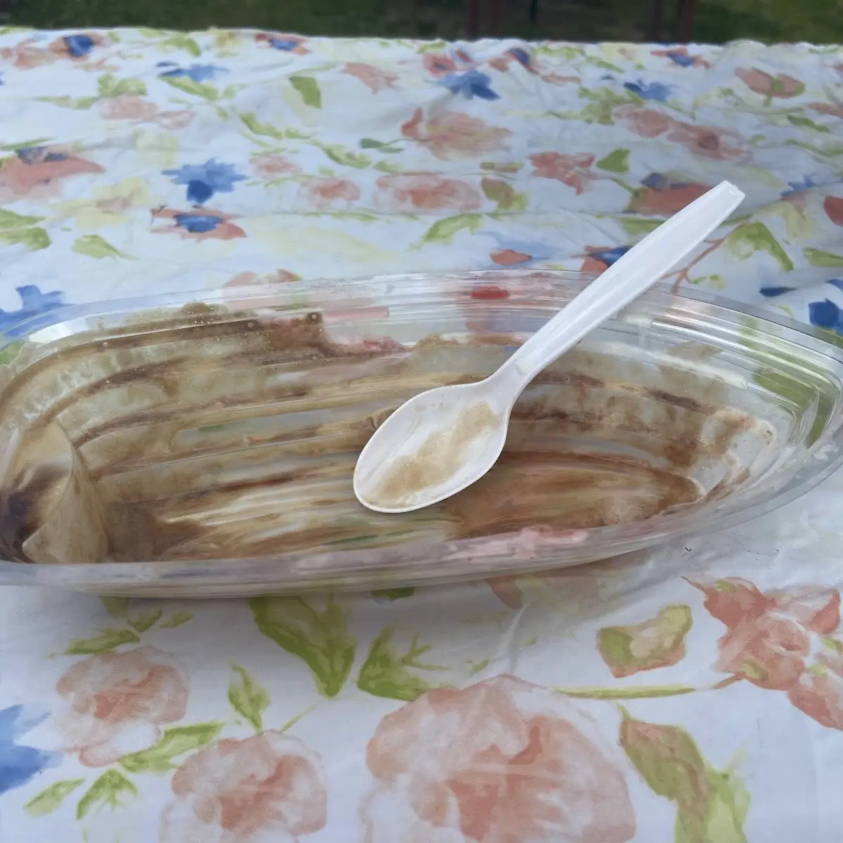Ice Cream Sundae