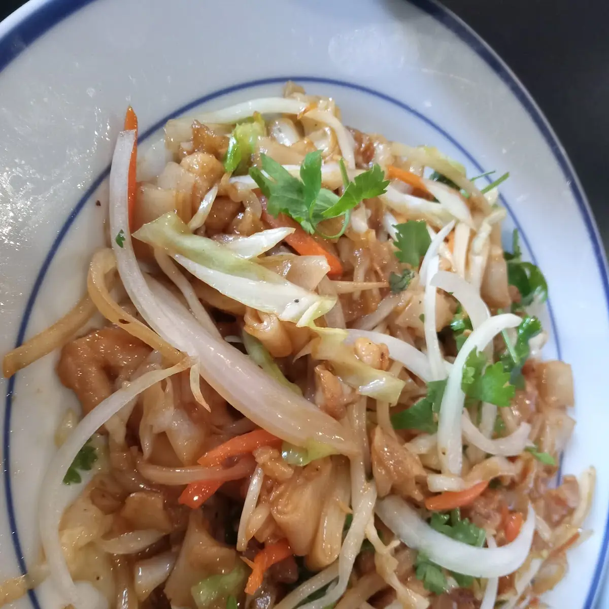 55 Chicken Rice Flat Noddles