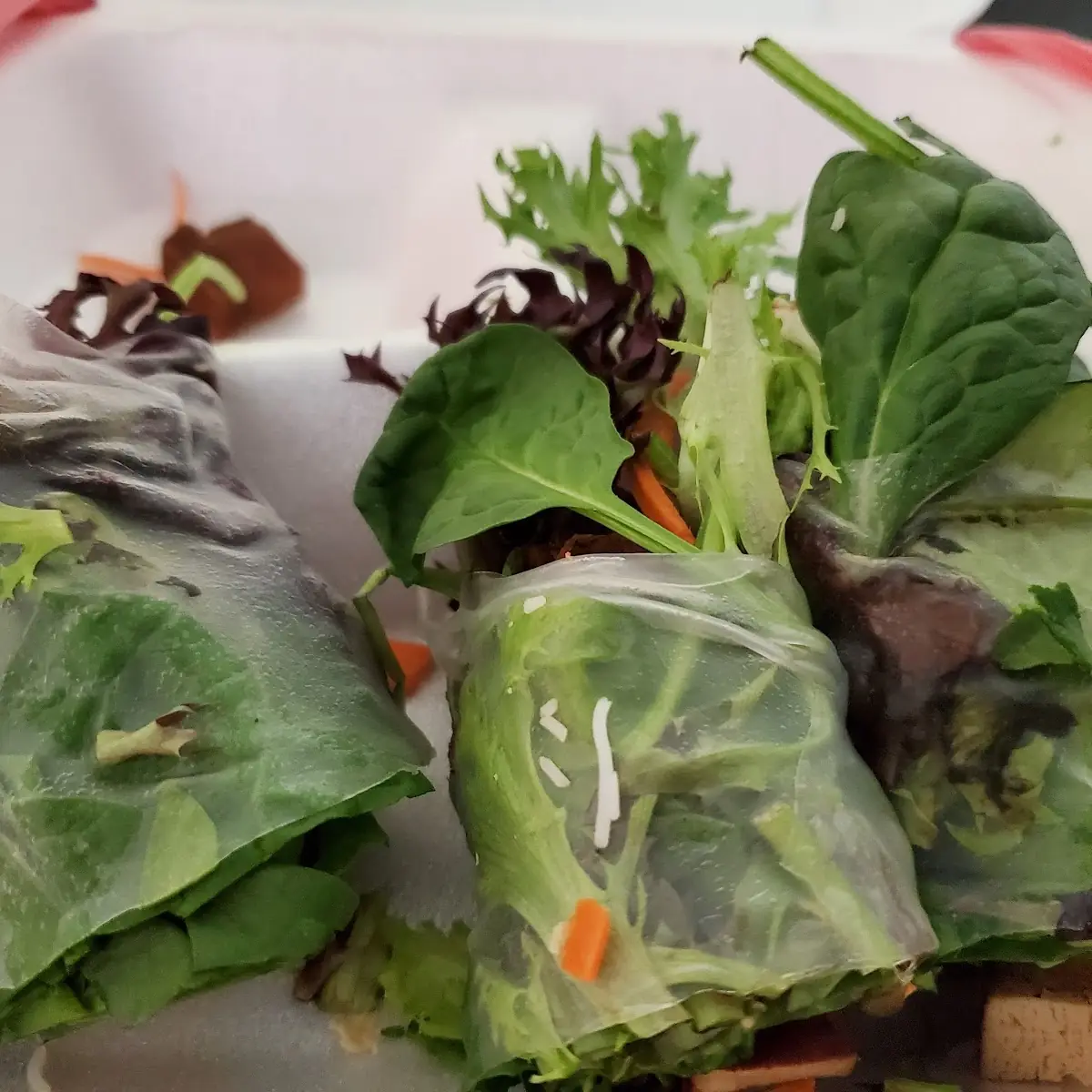 Fresh Spring Rolls