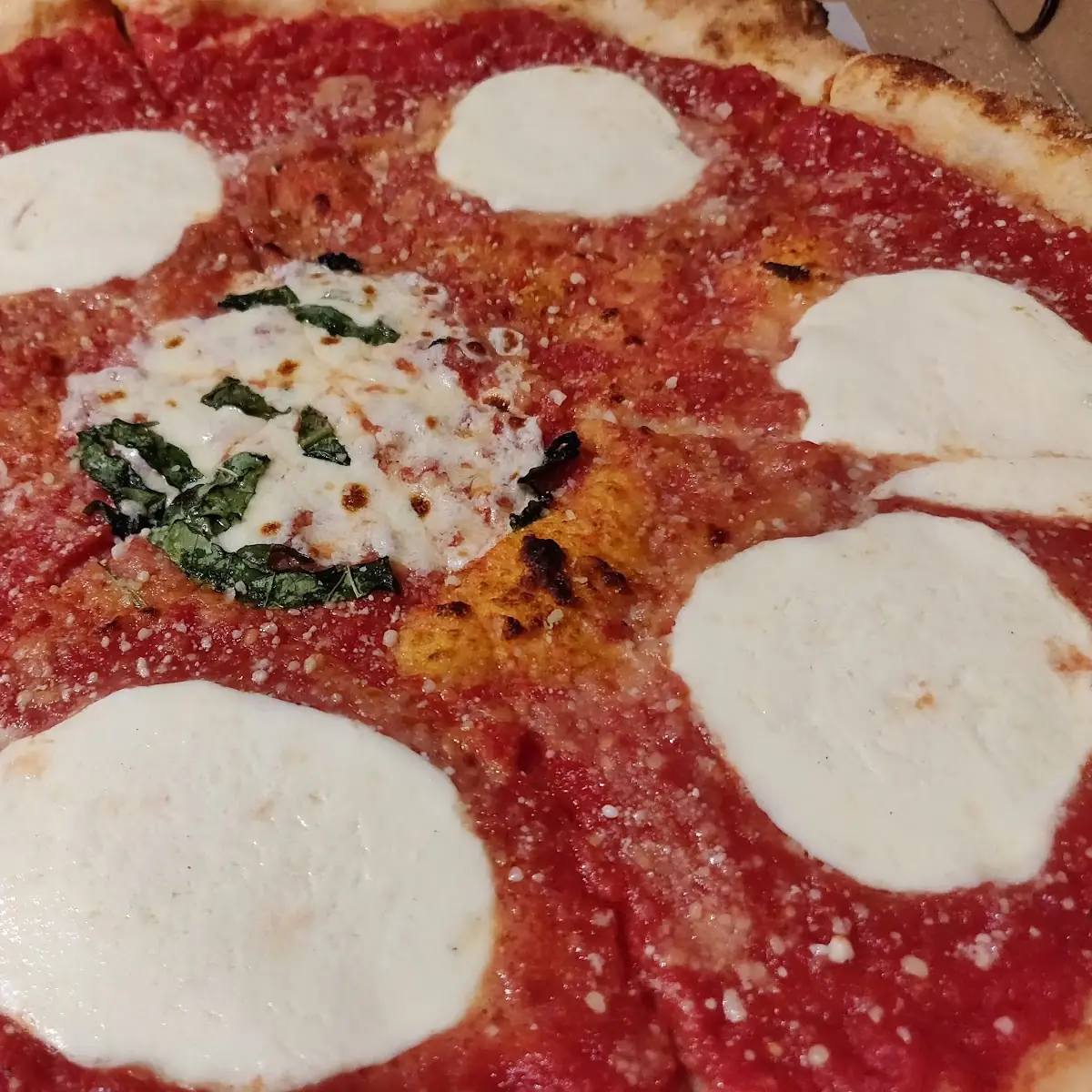 Margherita Pizza