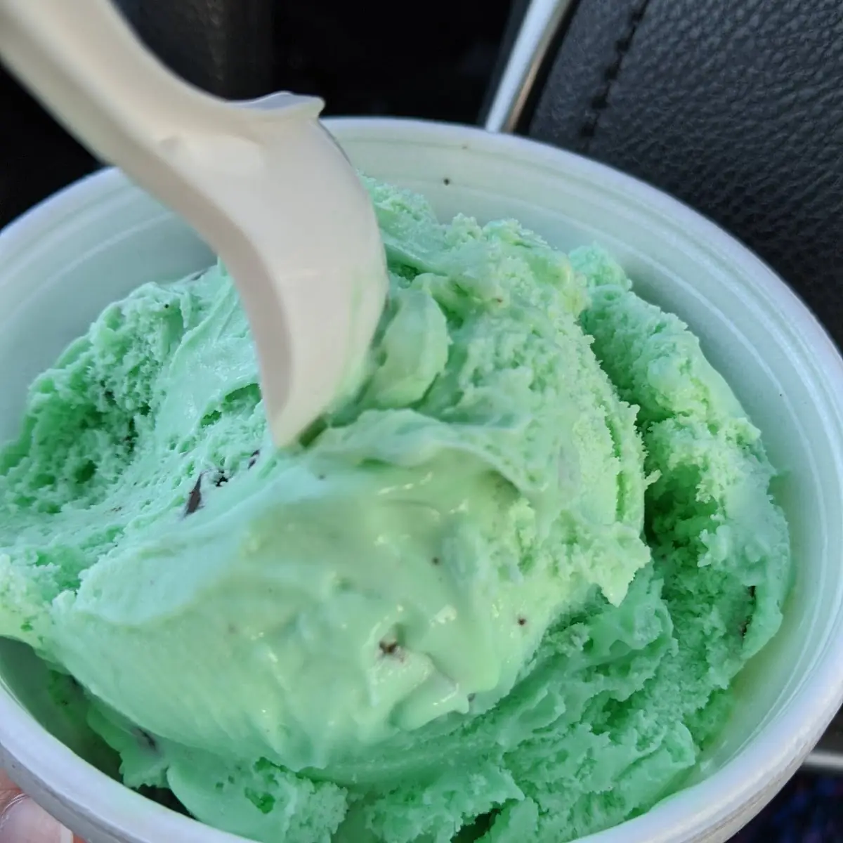 Mint Chocolate Chip Ice Cream