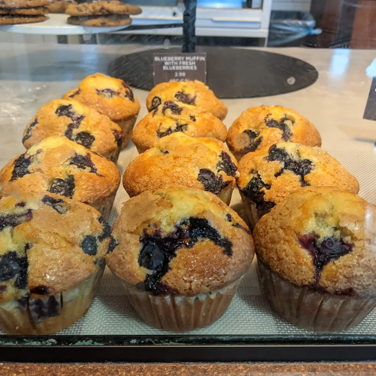 Blueberry Muffin