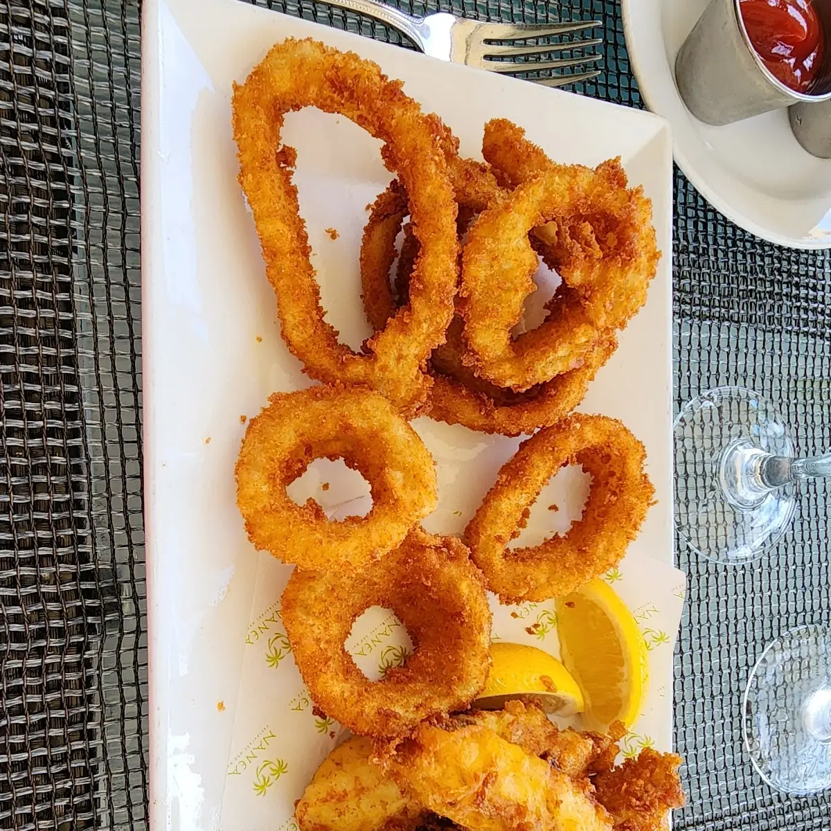 Basket of Onion Rings
