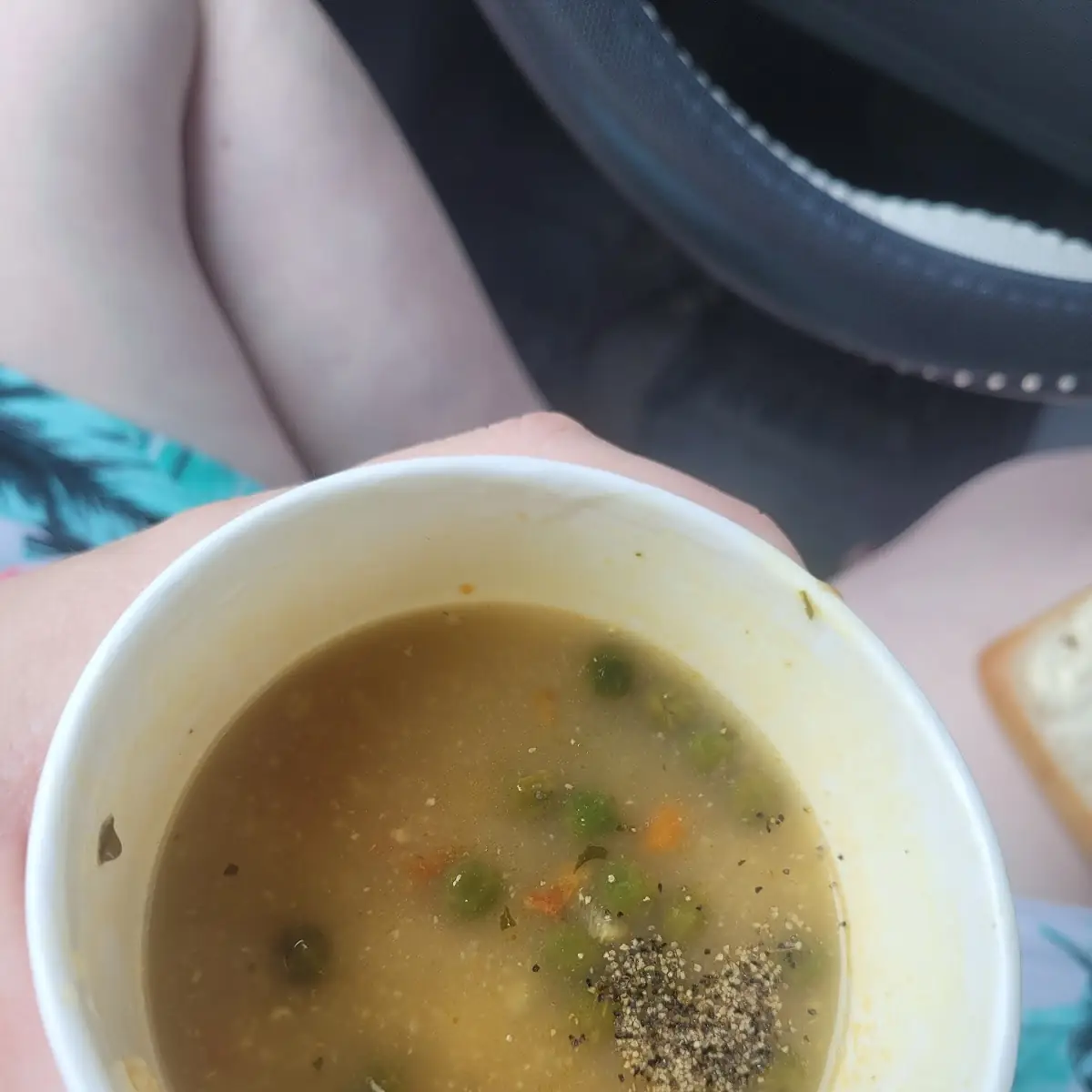 Chicken Noodle Soup