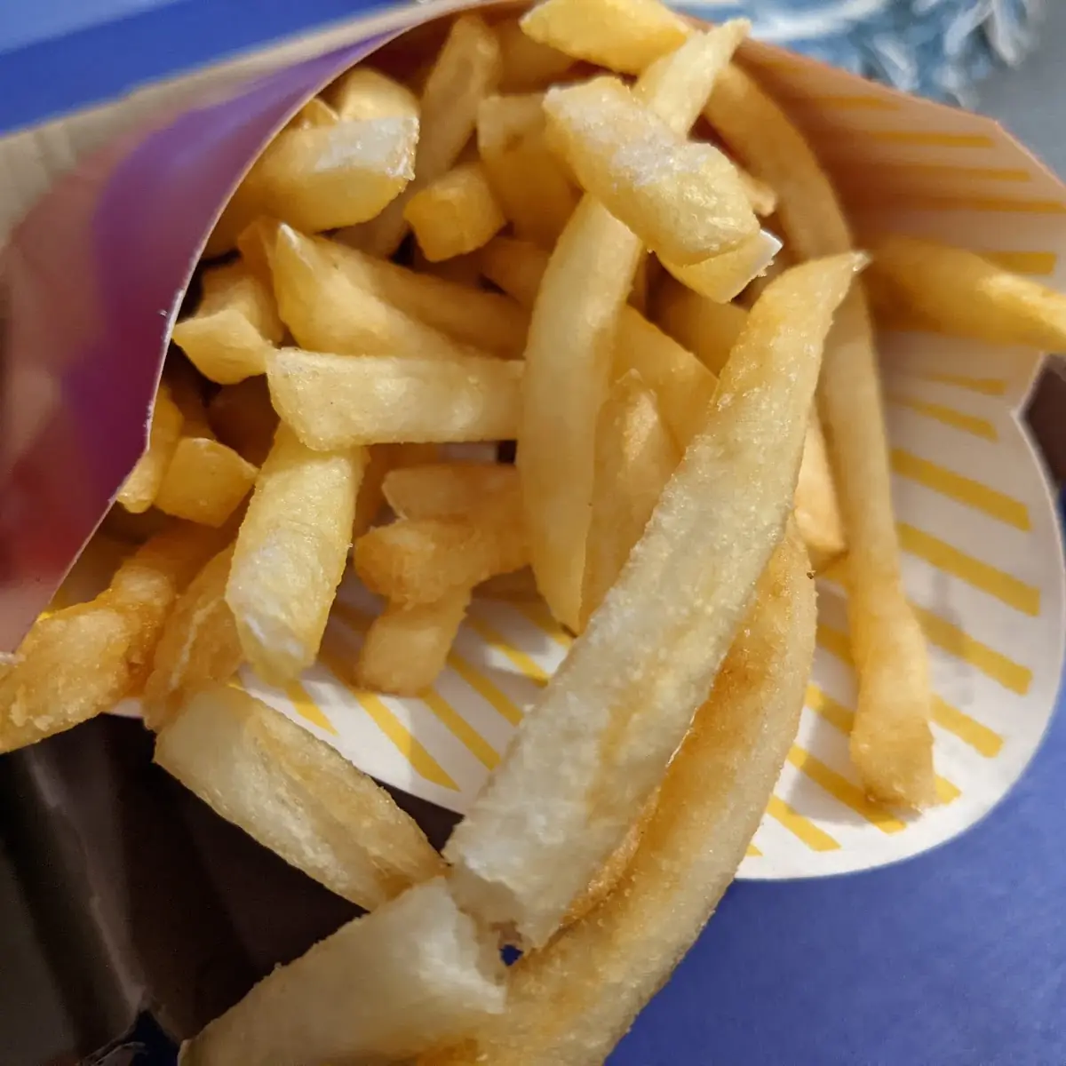 World Famous Fries