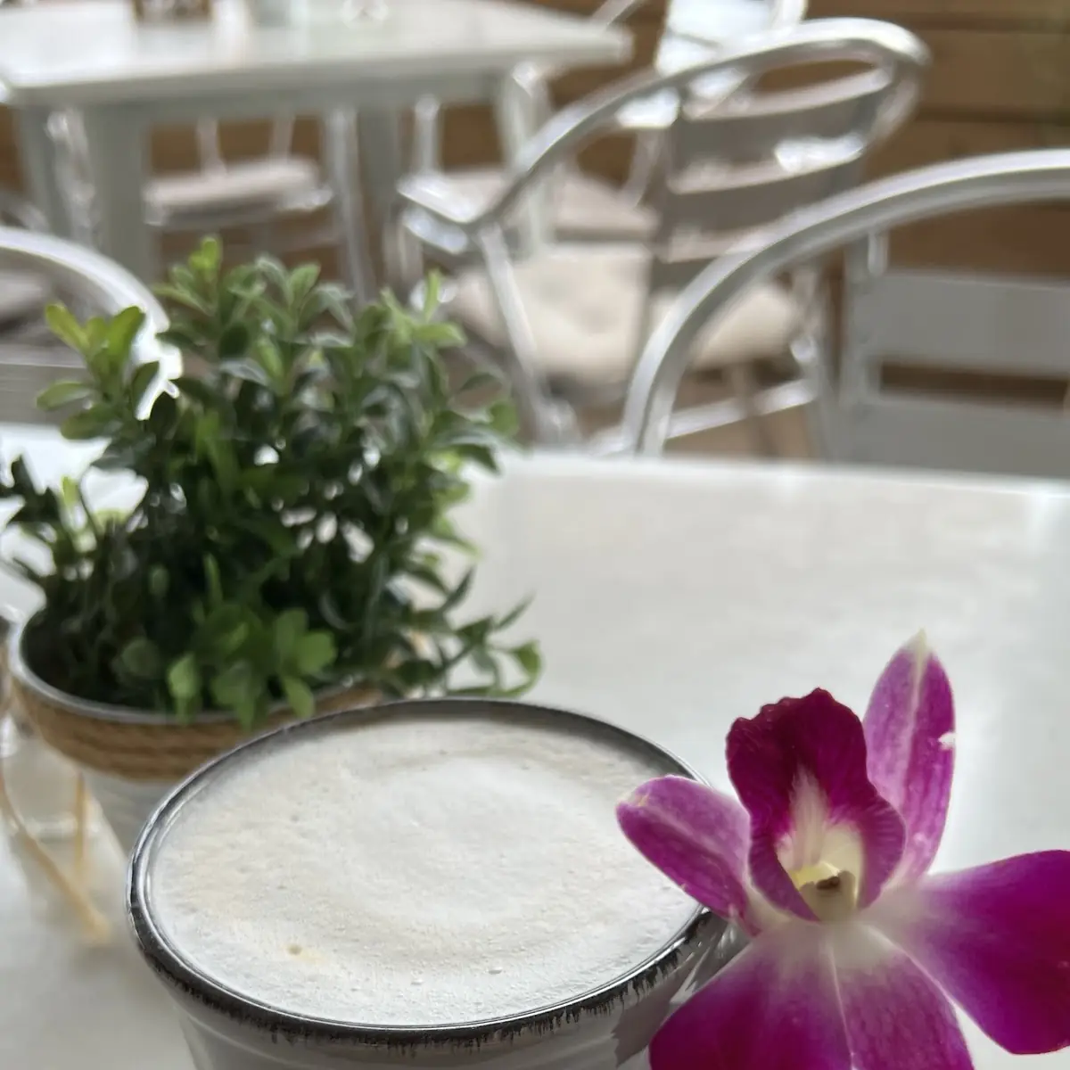 Cappuccino