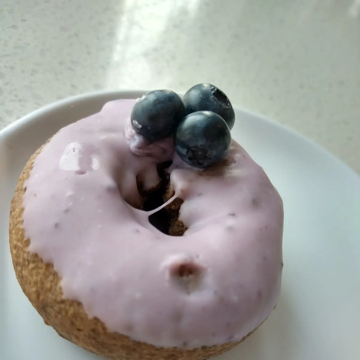 Blueberry Old Fashioned Donut