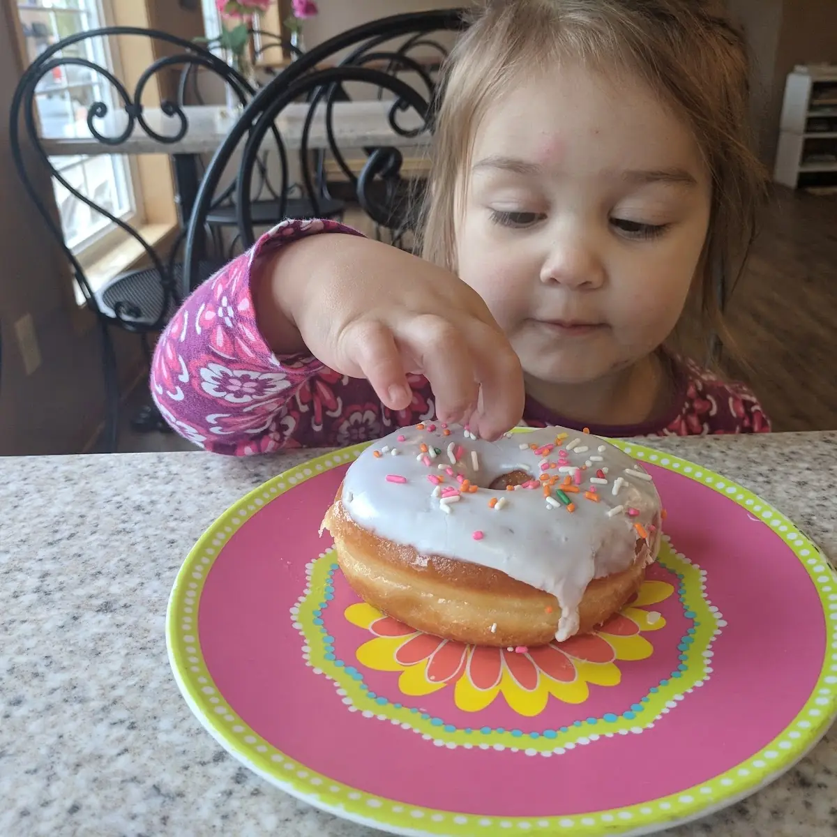 Doughnut