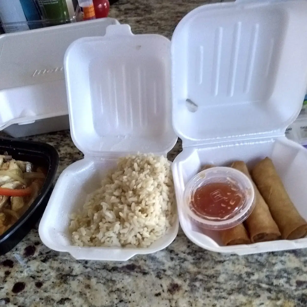 Brown Rice Veggie Spring Roll