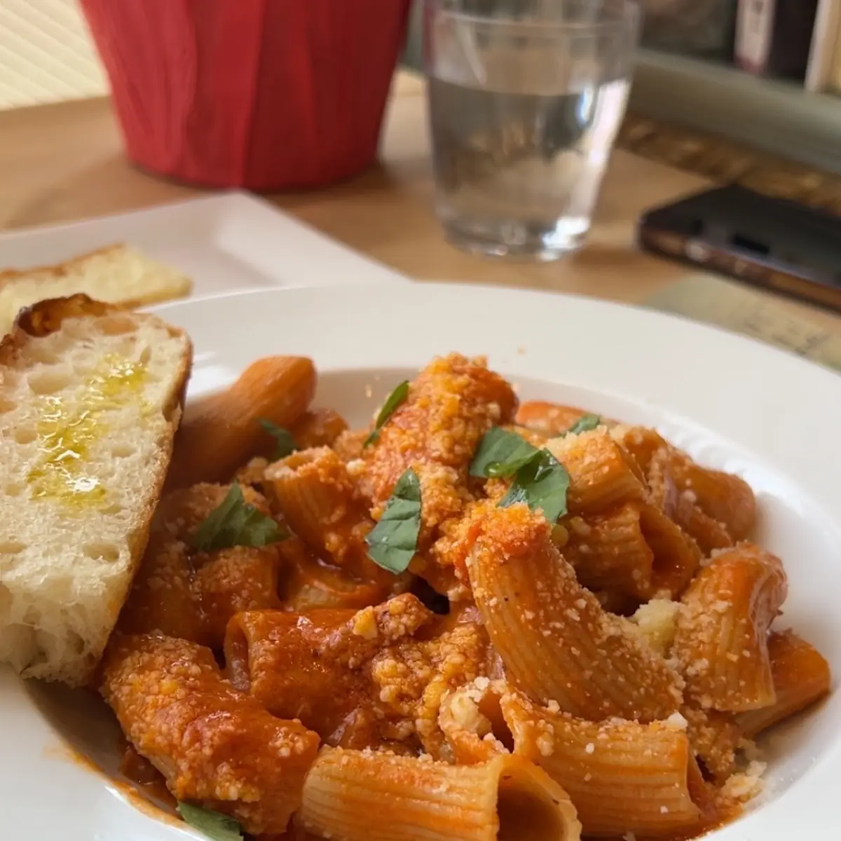 Rigatoni in Vodka Sauce