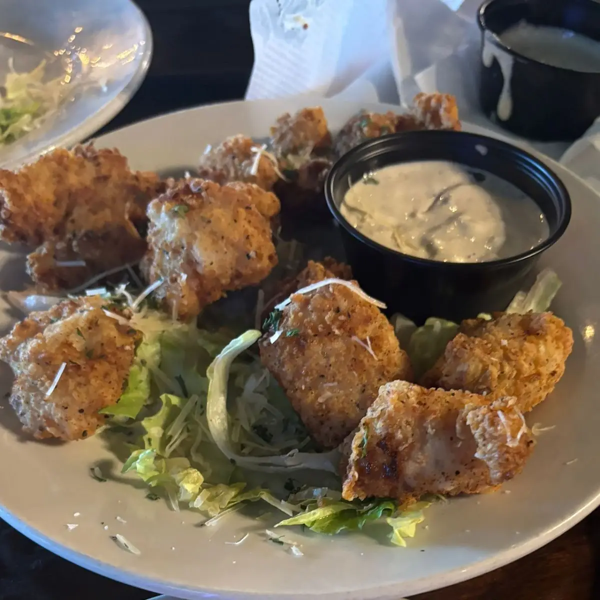 Gator Bites