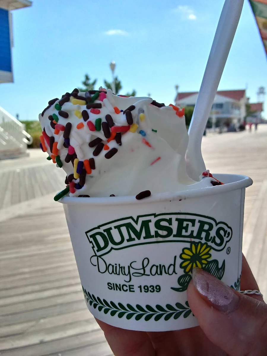 Vanilla Ice Cream with Sprinkles