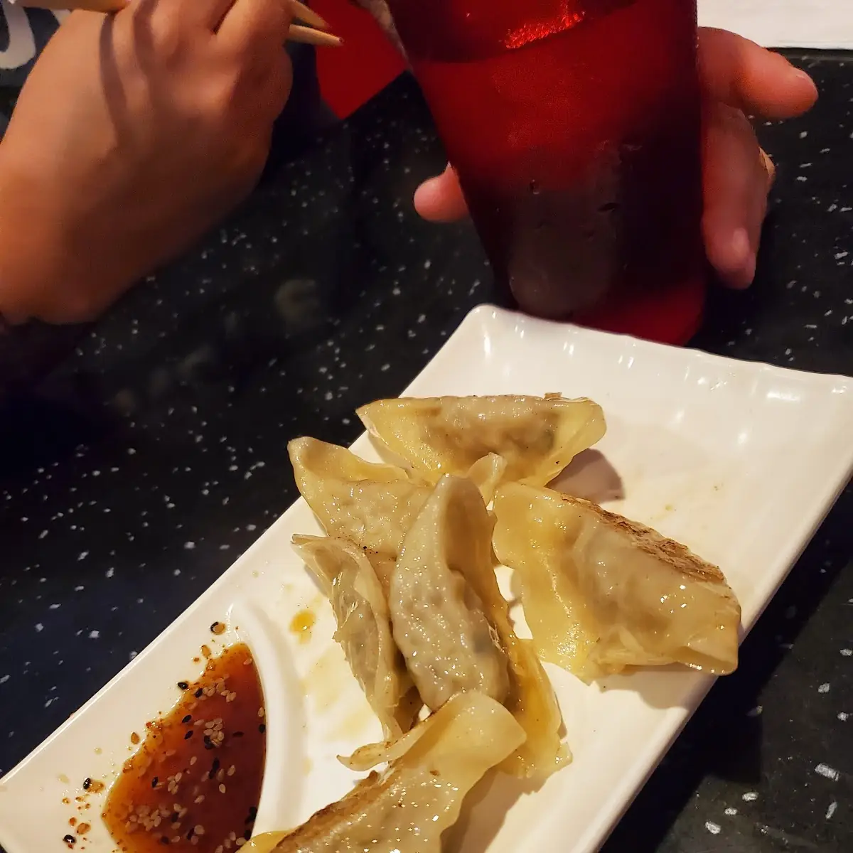 Gyoza 6