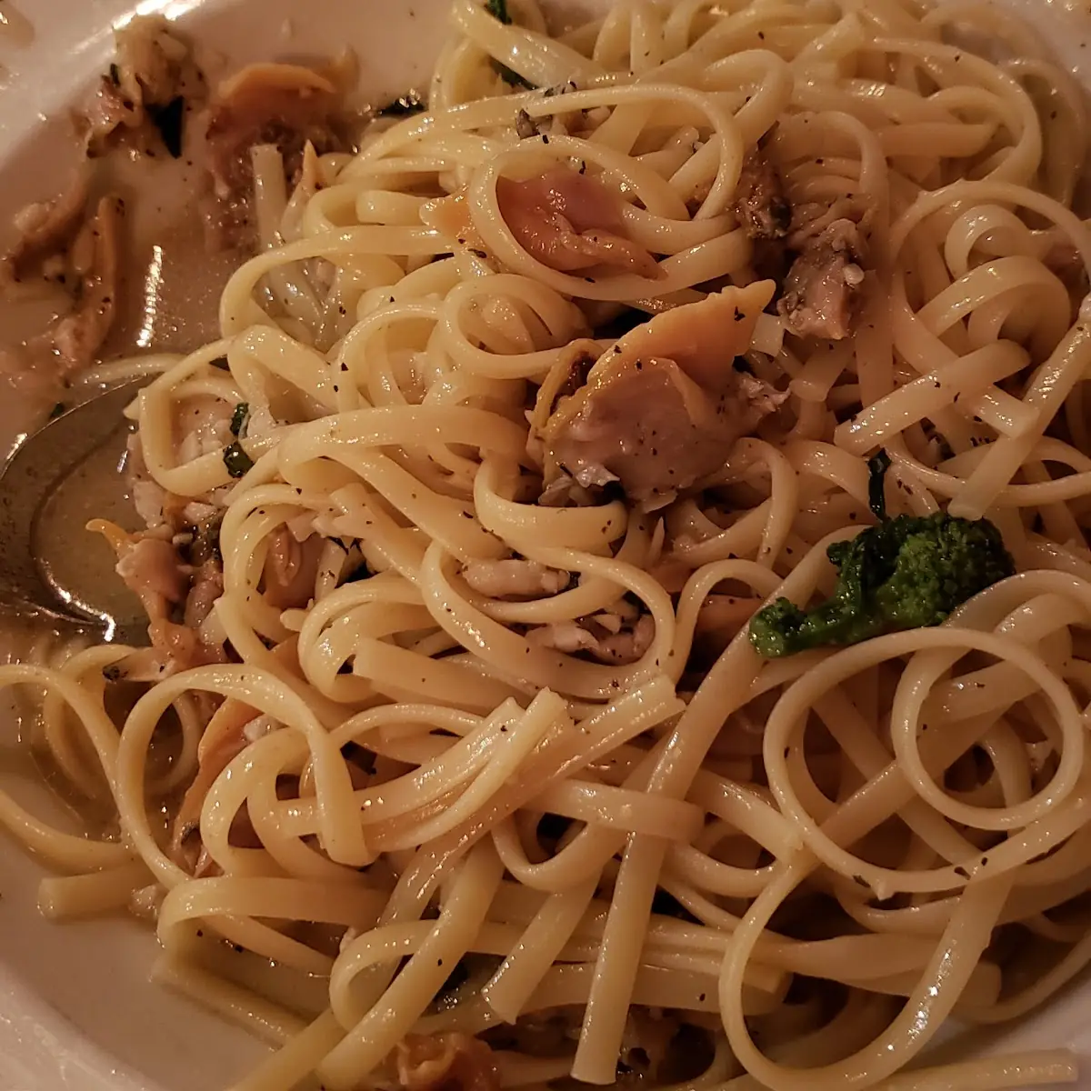 White Clam Sauce
