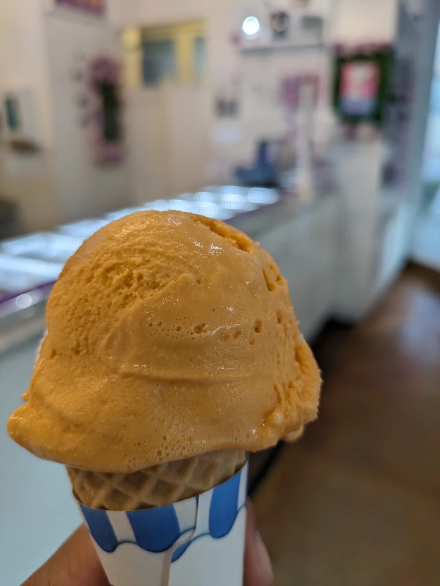Pumpkin Spice Ice Cream