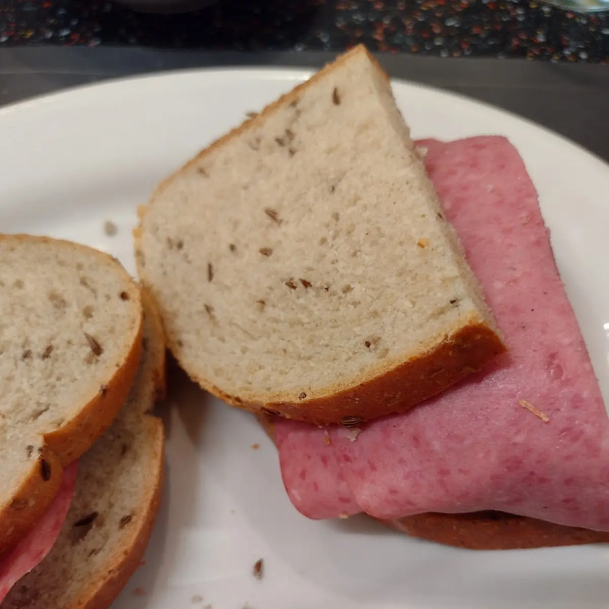 Kosher Salami on Rye