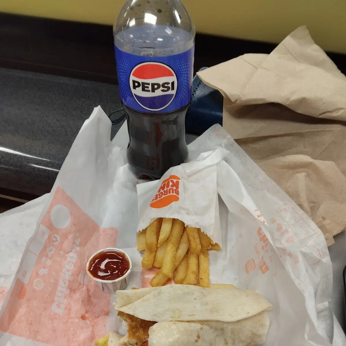Chicken Wrap and Fries