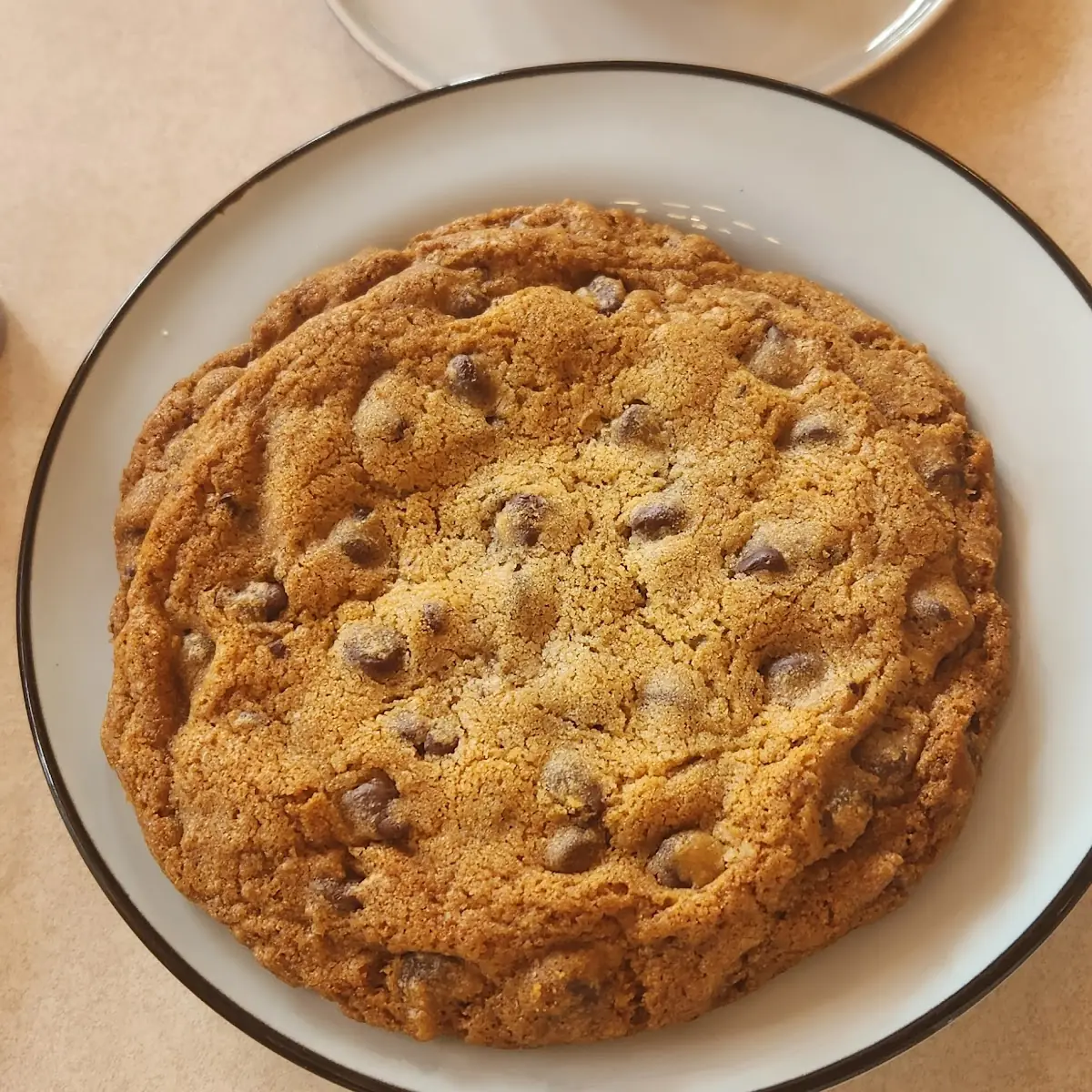 Chocolate Chip Cookie