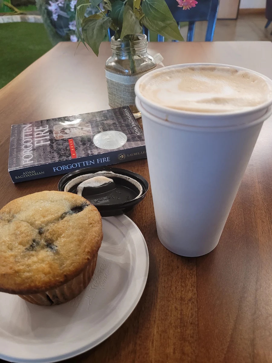 Blueberry Muffin