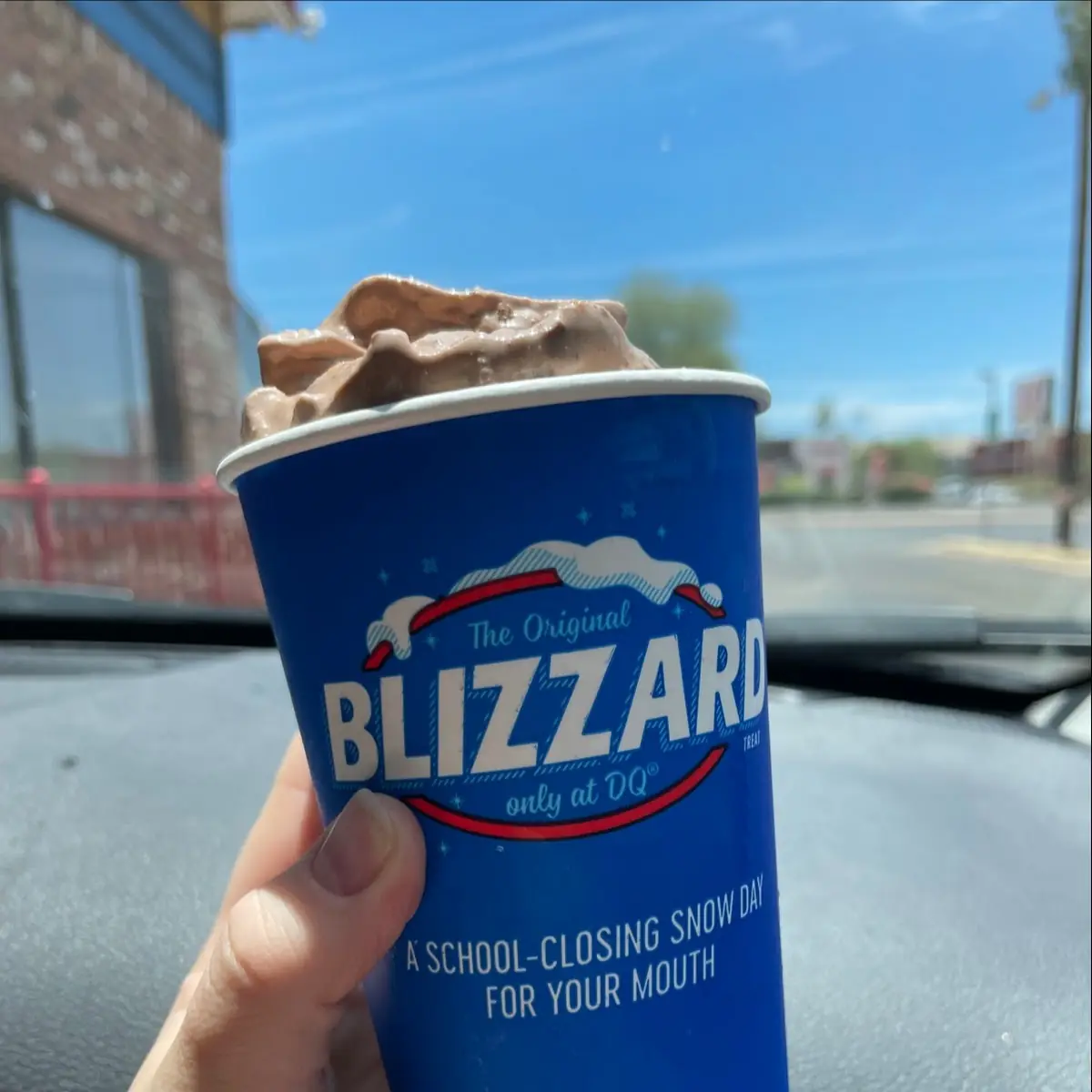 Reese's Peanut Butter Cup Blizzard Treat