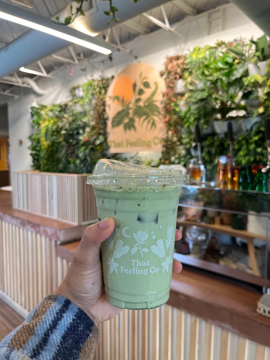 Iced Matcha Latte