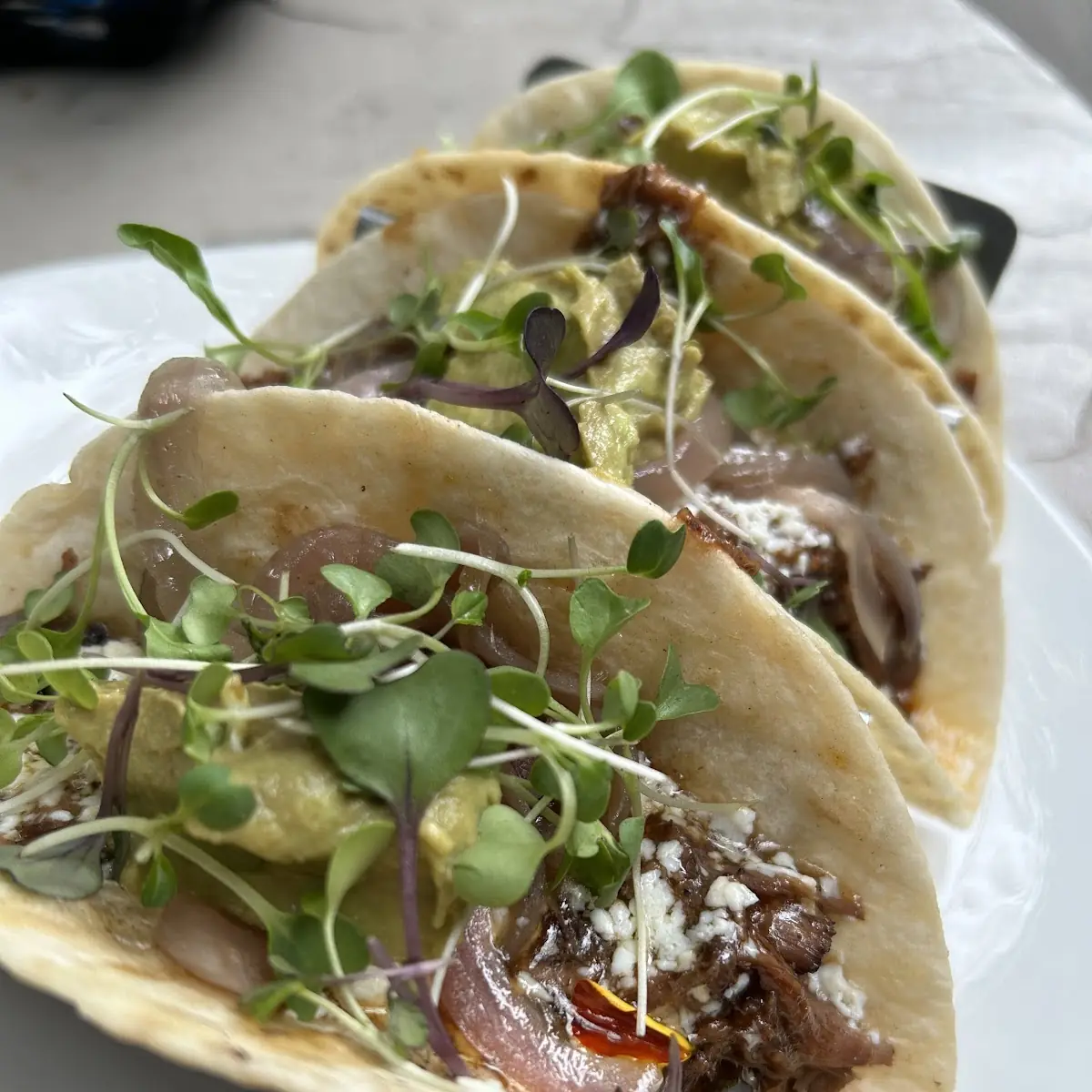 Pork Belly Street Tacos