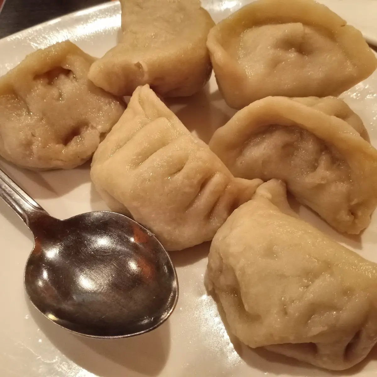 Pan Fried or Steamed Dumpling