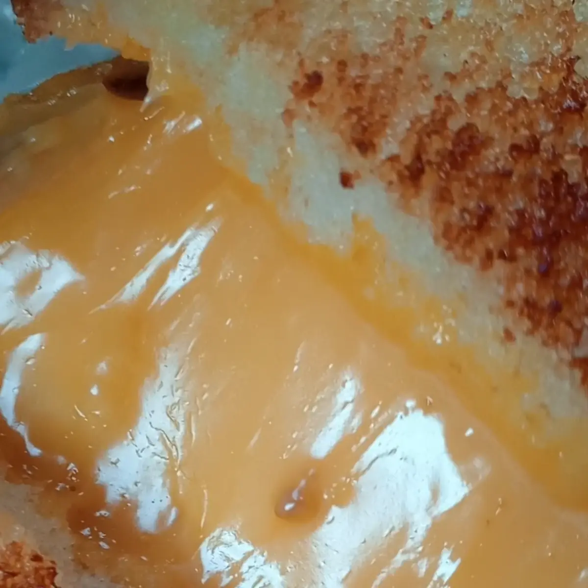 Grilled Cheese Sandwich