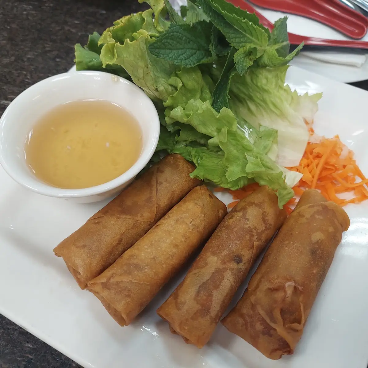Two Pieces Spring Rolls