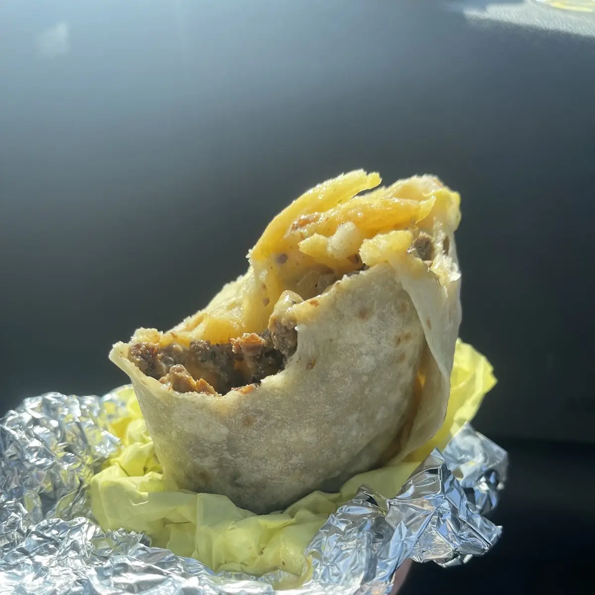 Fries Burrito