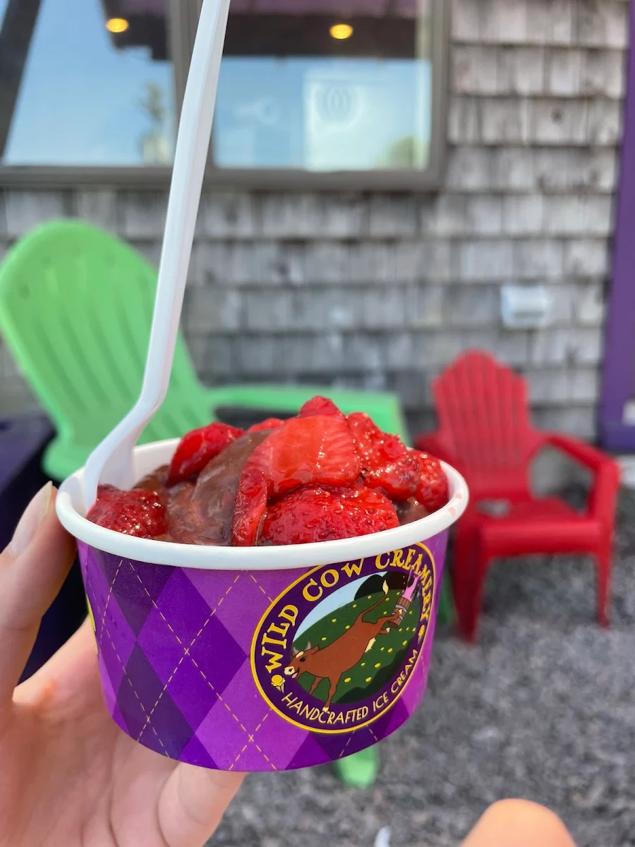 Frozen Yogurt