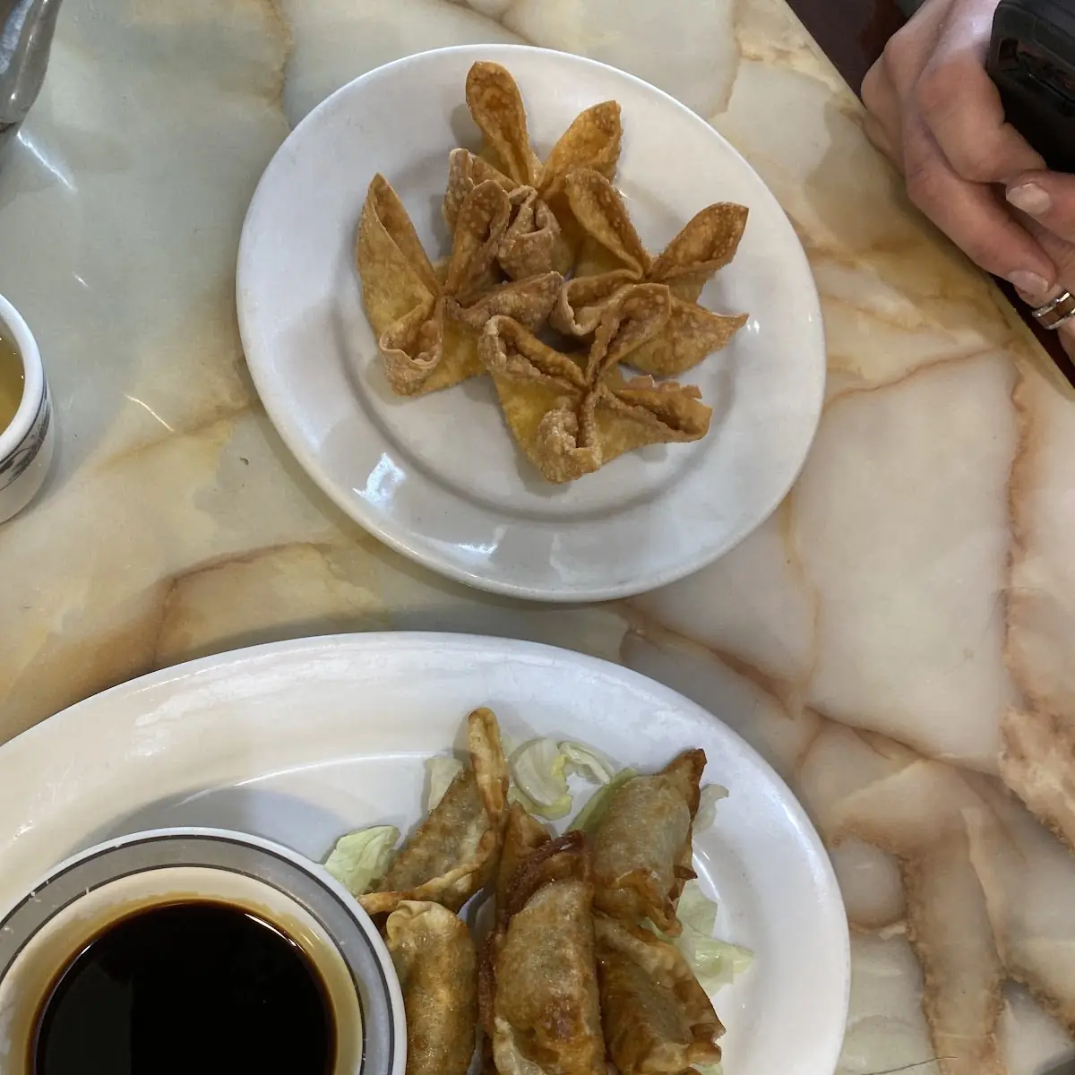 Fried Dumplings and Crab Rangoon