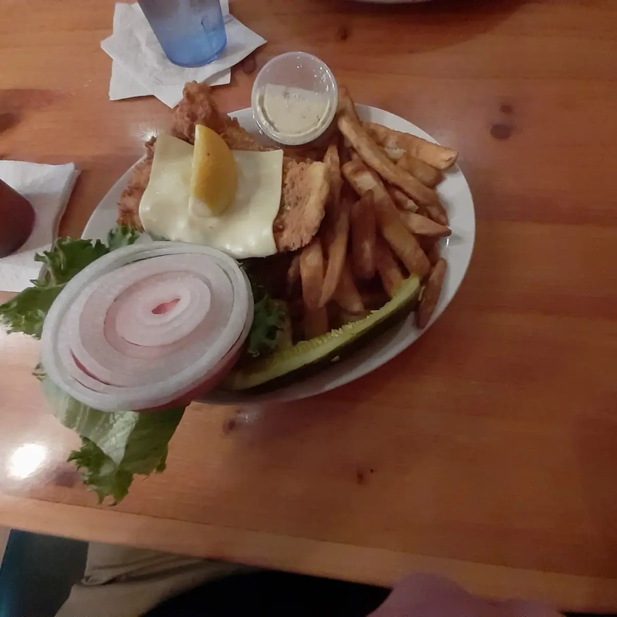 Bison Burger