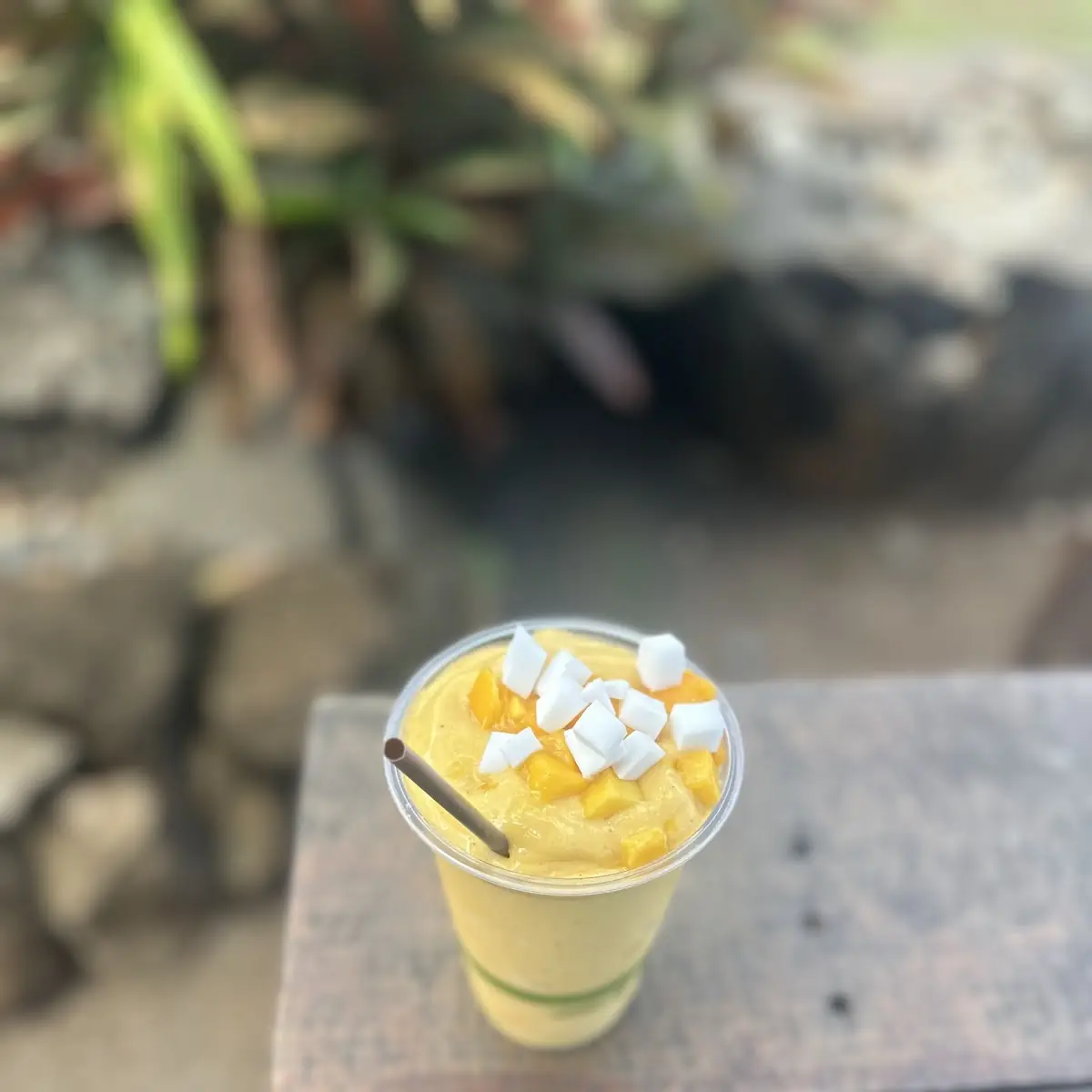 Smoothie Split
