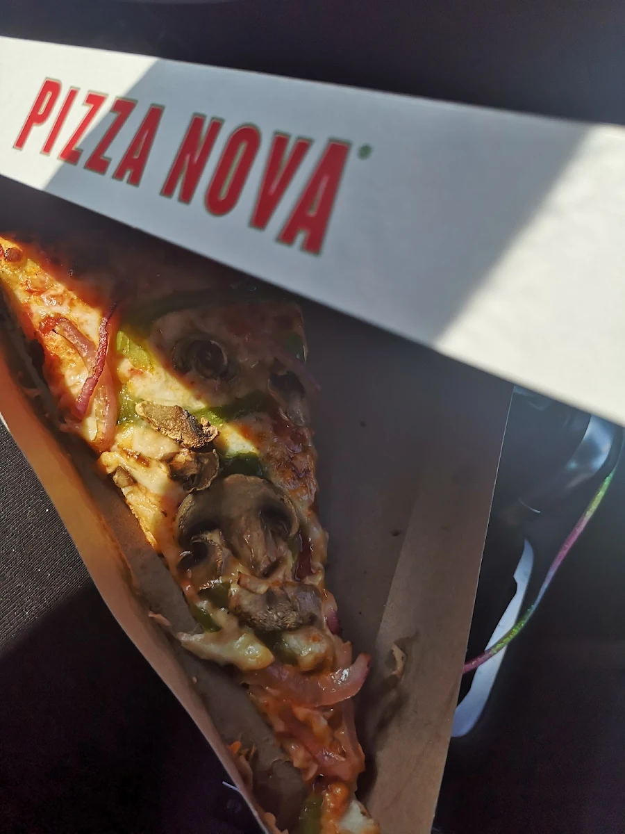 Veggie Pizza Slice
