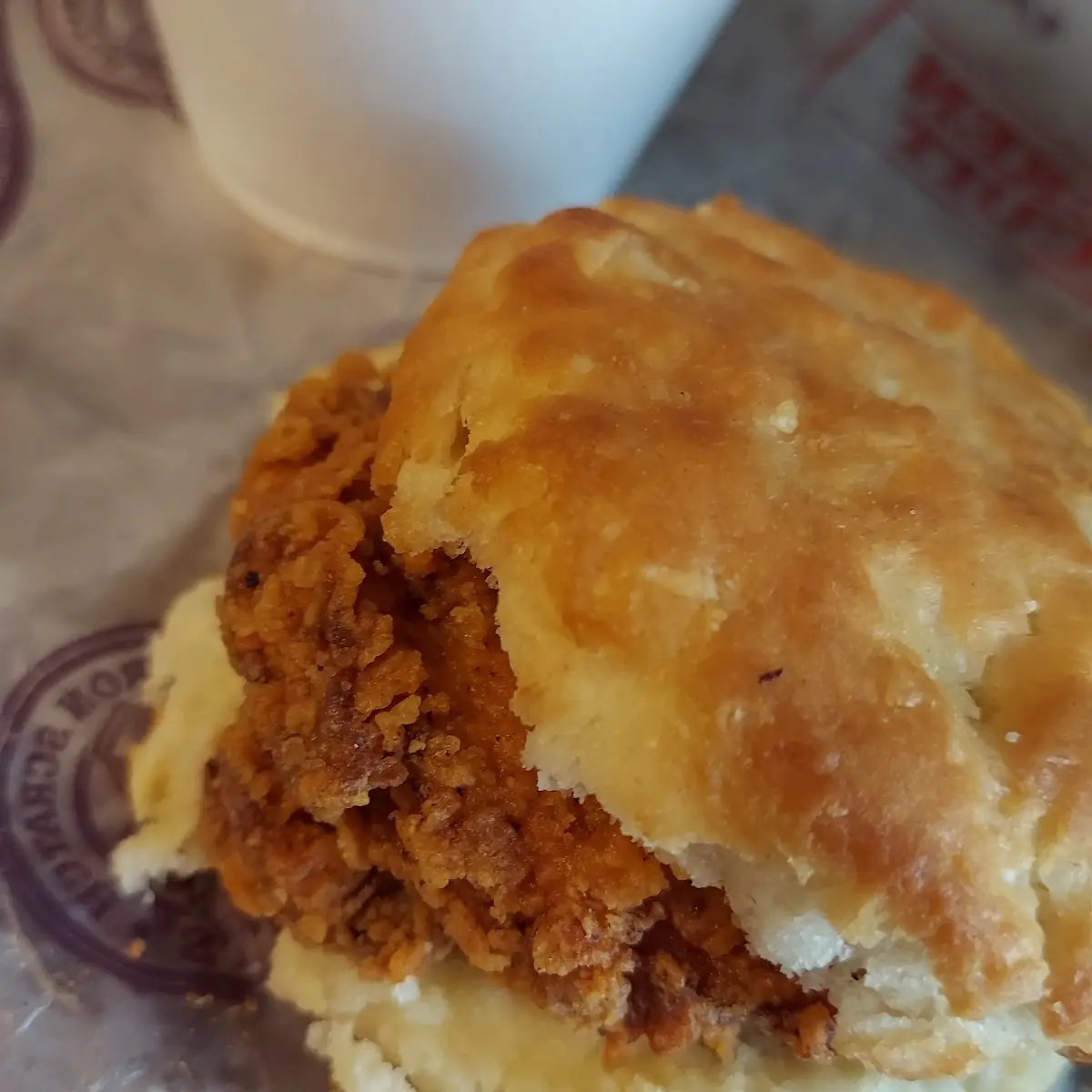 Chicken Biscuits and Sausage Gravy