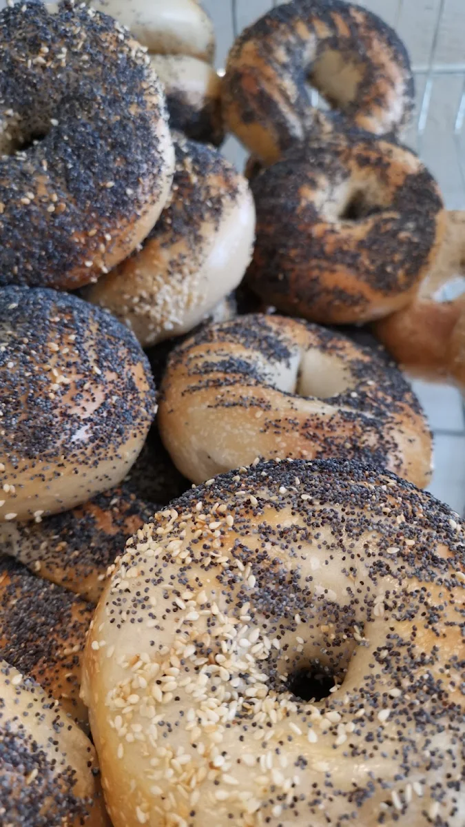 Poppy Seed Bagel