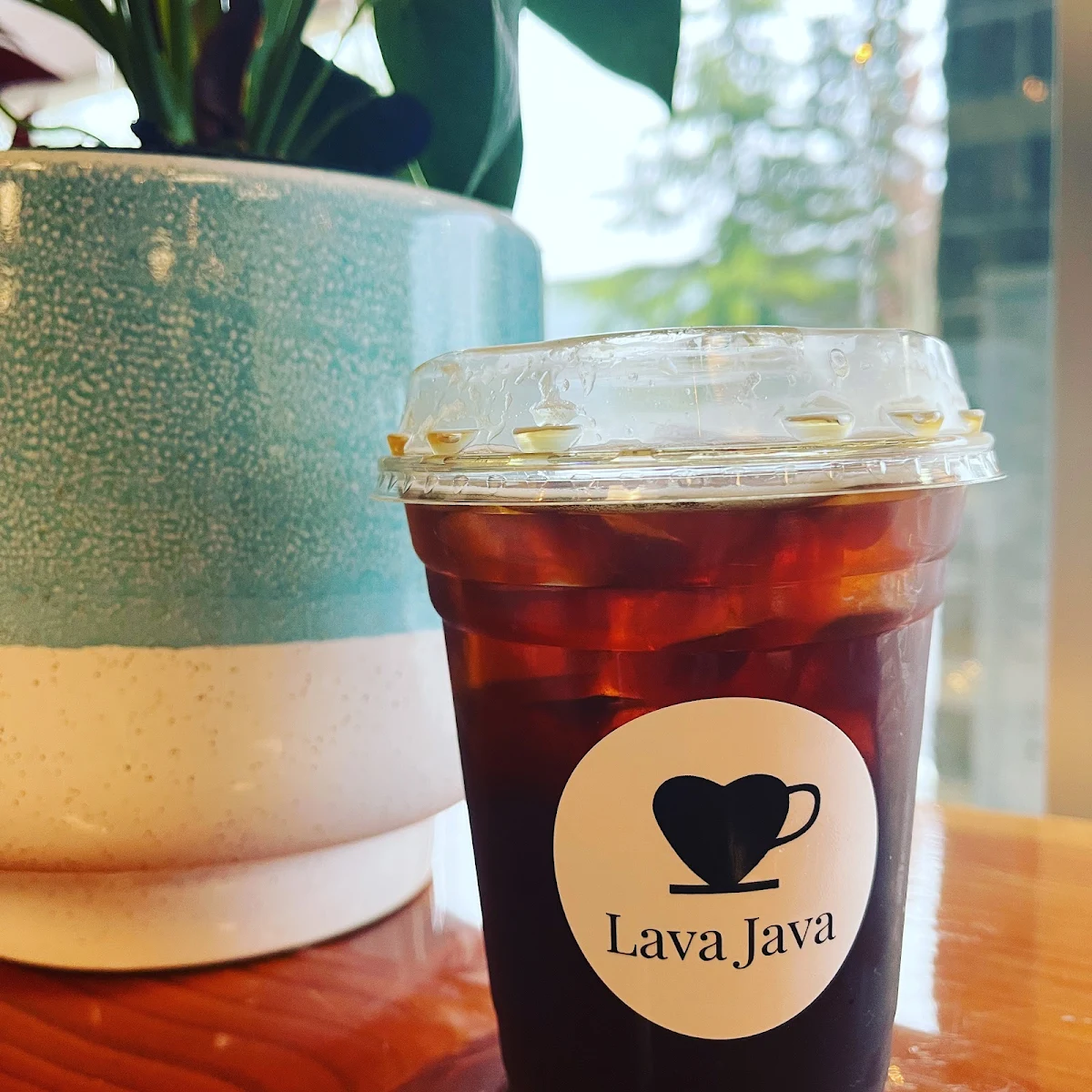 Cold Brew