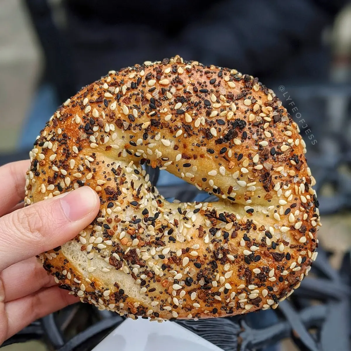 Everything Bagel