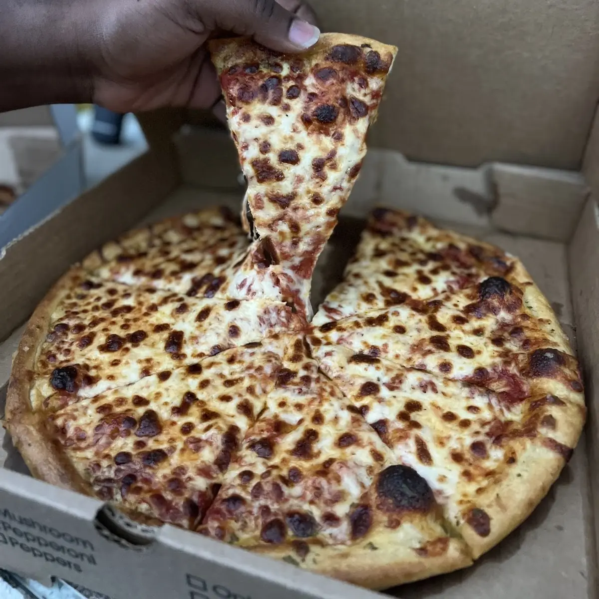 10 Cheese Pizza