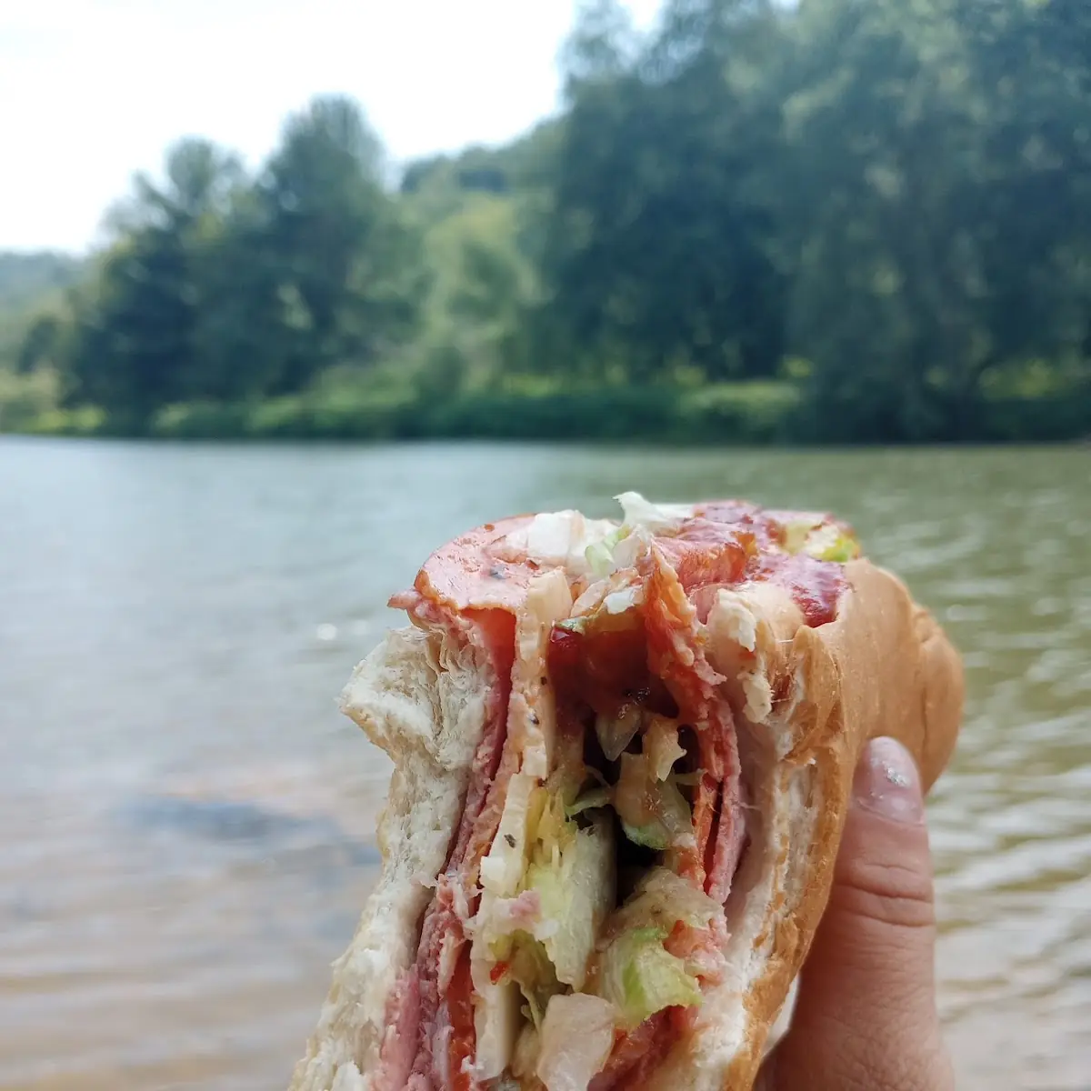 Pizza Sub 7