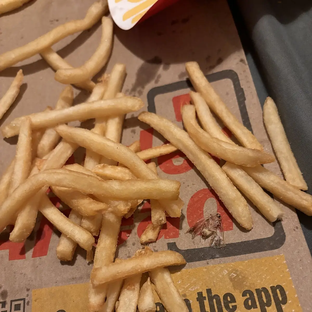World Famous Fries