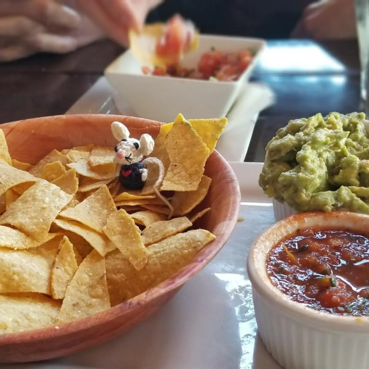 House Chips & Salsa