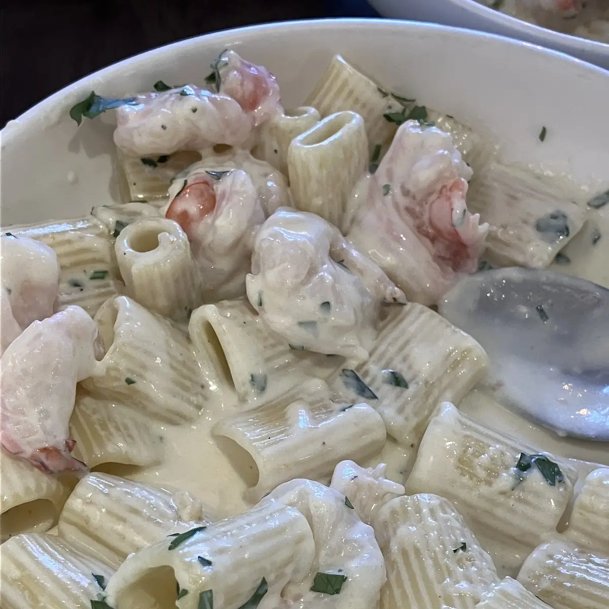 Shrimp Alfredo