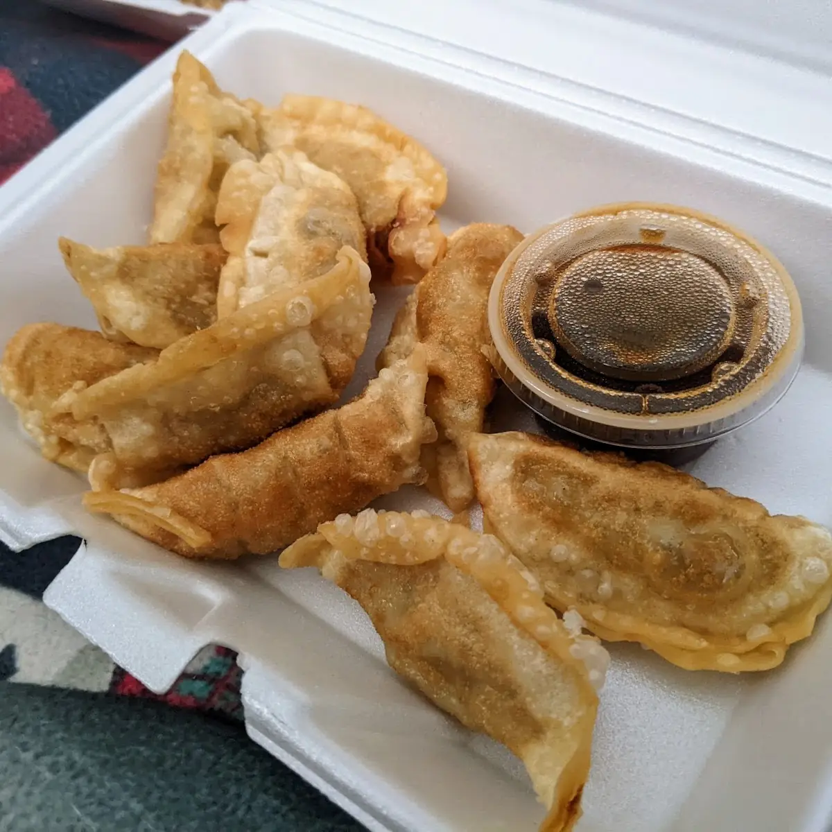 Steamed or Fried Dumpling