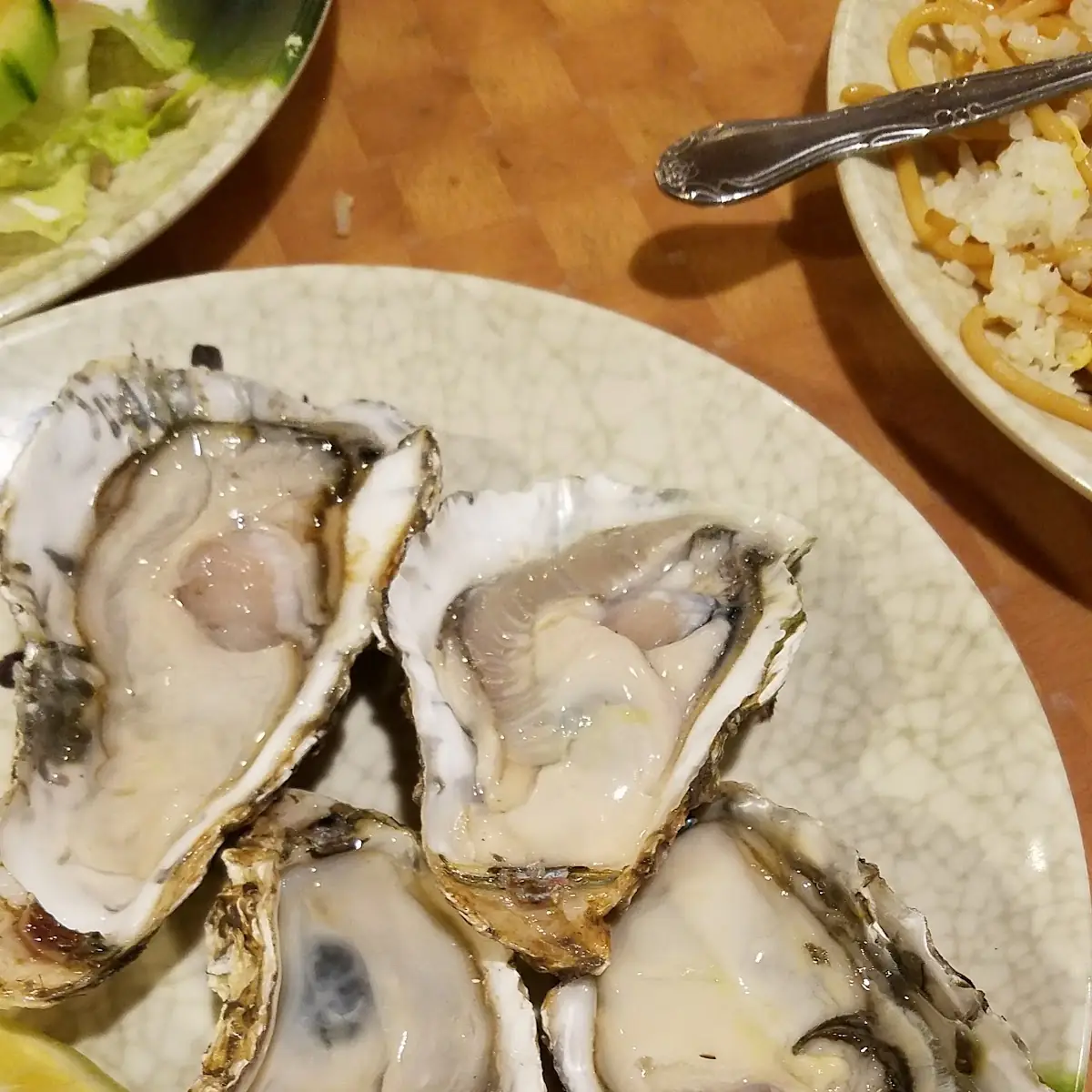 Oysters on the Half Shell