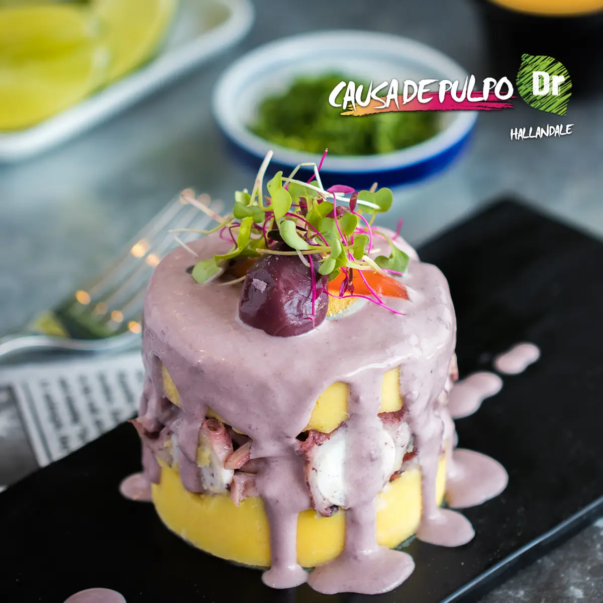 Octopus Causa