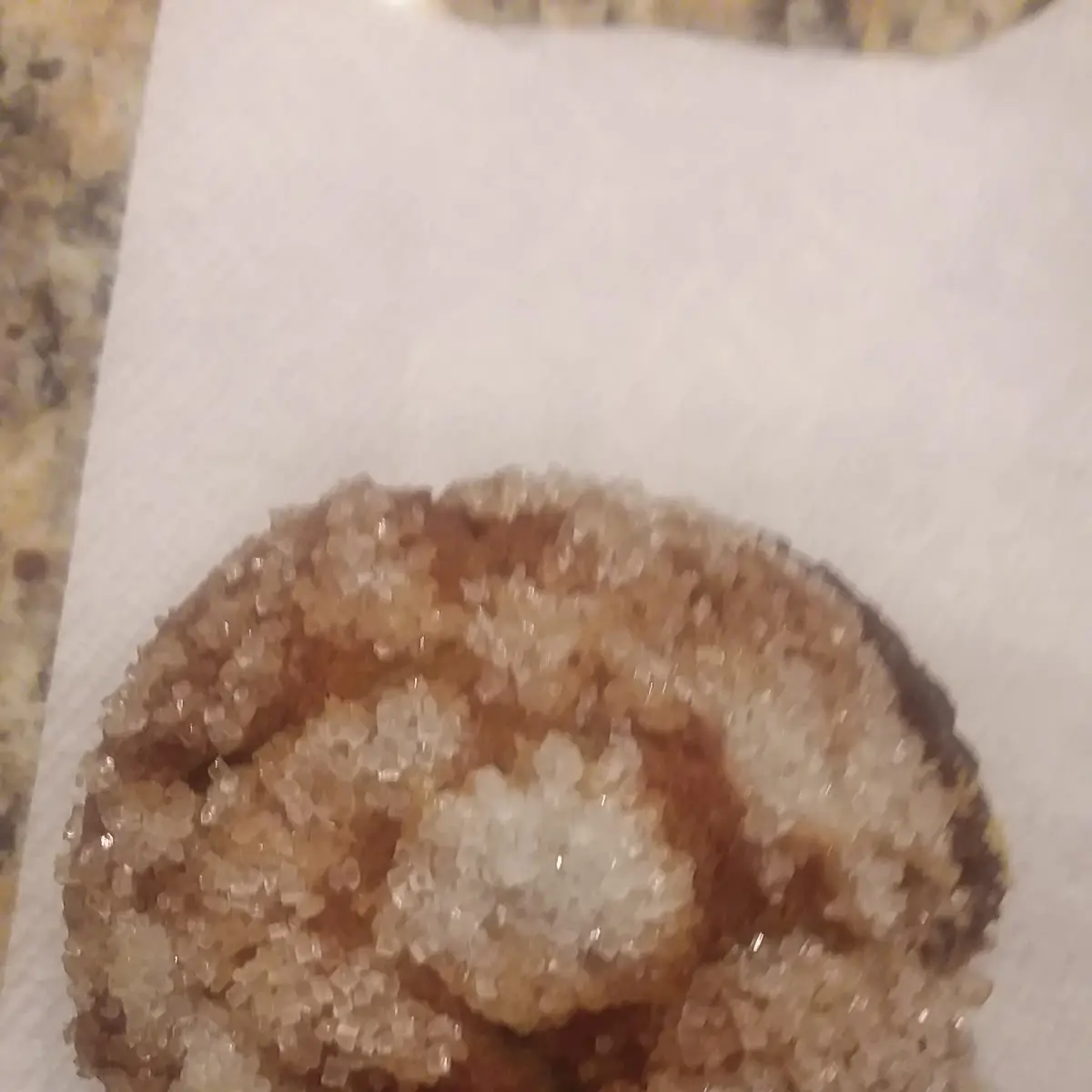 Blueberry Muffin